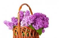 Tárold és ápold virágaidat, dísznövényedet praktikus és ízléses virágtartókban, edényekben!
